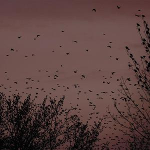 内射后入在线观看
